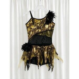 Curtain Call Black Gold Tulle Sequins Feathers Sheer Midriff Performance Costume